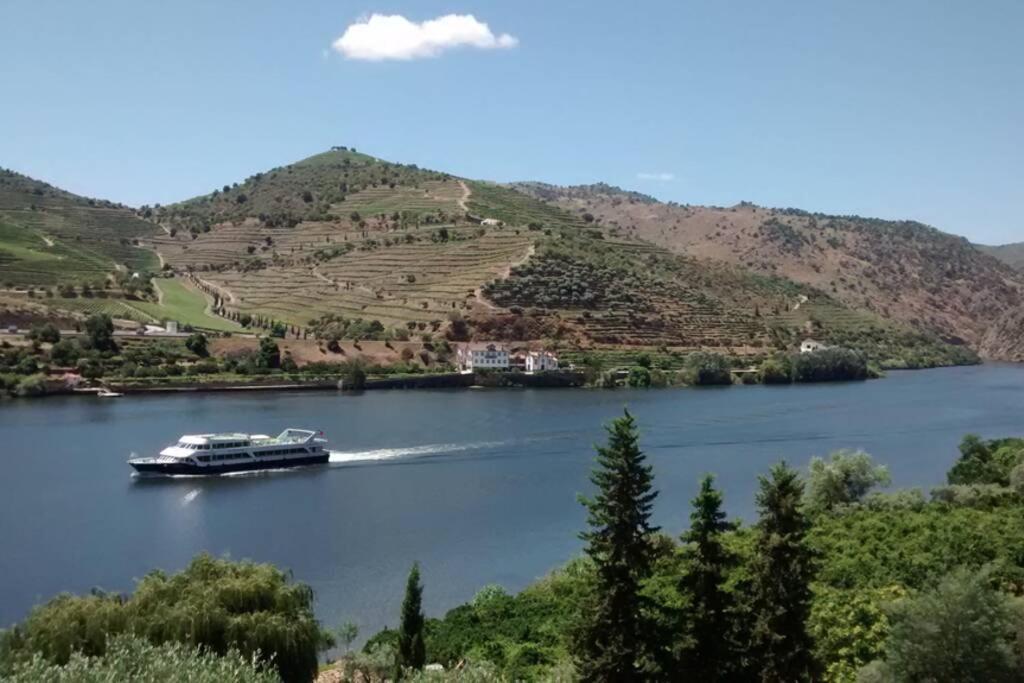 Casa Dos Vinhais - Douro Valley Coleja Exteriér fotografie